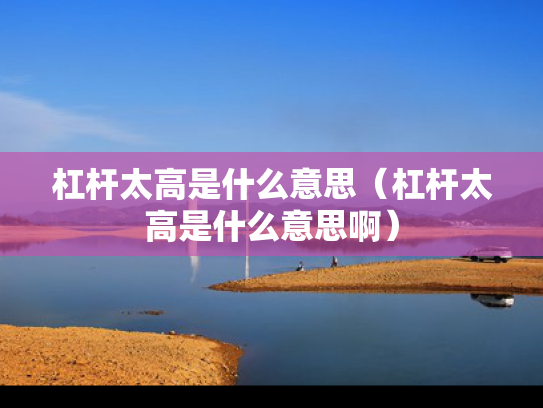 杠杆太高是什么意思（杠杆太高是什么意思啊）