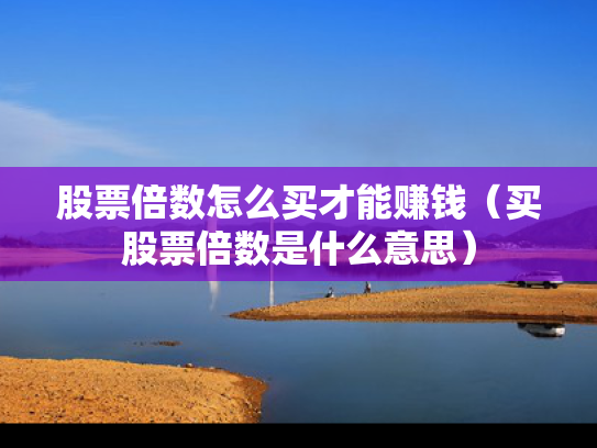 股票倍数怎么买才能赚钱（买股票倍数是什么意思）