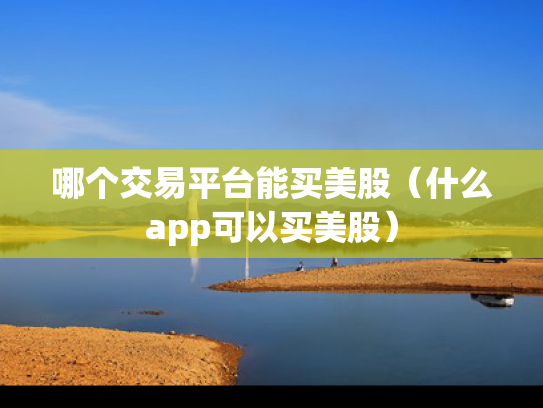 哪个交易平台能买美股（什么app可以买美股）