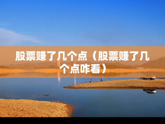 股票赚了几个点（股票赚了几个点咋看）