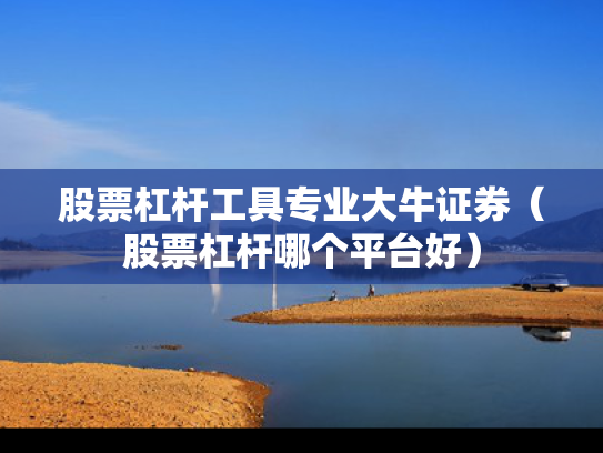 股票杠杆工具专业大牛证券（股票杠杆哪个平台好）