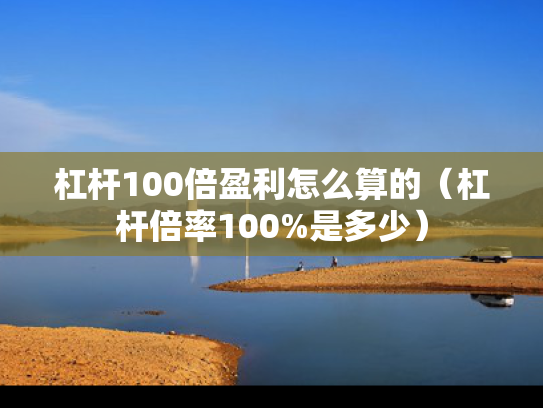 杠杆100倍盈利怎么算的（杠杆倍率100%是多少）