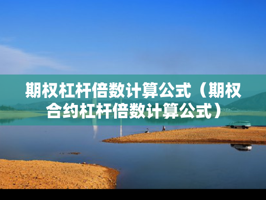 期权杠杆倍数计算公式（期权合约杠杆倍数计算公式）