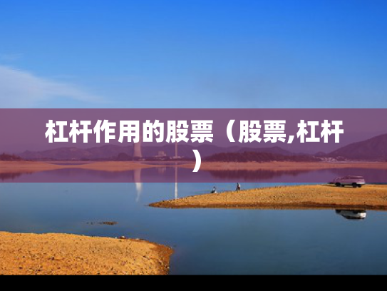 杠杆作用的股票（股票,杠杆）