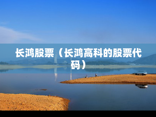 长鸿股票（长鸿高科的股票代码）