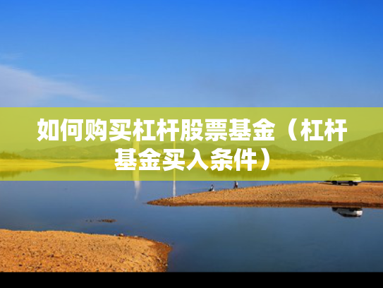 如何购买杠杆股票基金（杠杆基金买入条件）