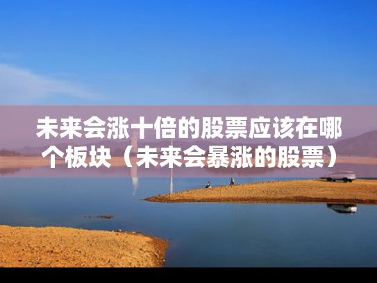 未来会涨十倍的股票应该在哪个板块（未来会暴涨的股票）