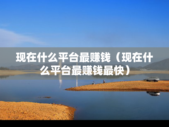现在什么平台最赚钱（现在什么平台最赚钱最快）