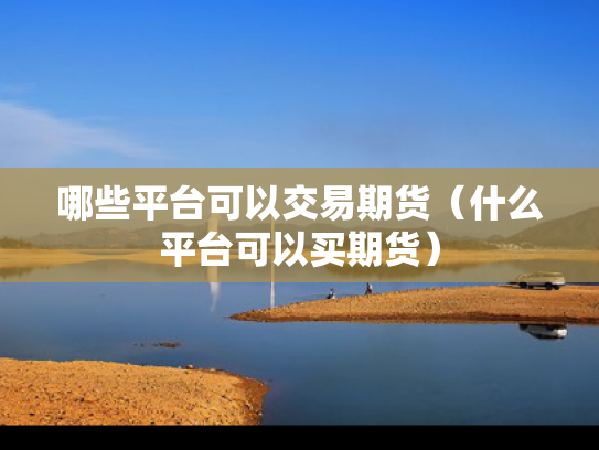 哪些平台可以交易期货（什么平台可以买期货）