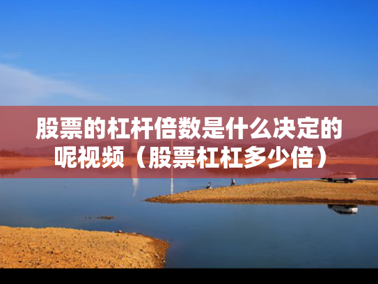 股票的杠杆倍数是什么决定的呢视频（股票杠杠多少倍）