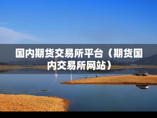 国内期货交易所平台（期货国内交易所网站）