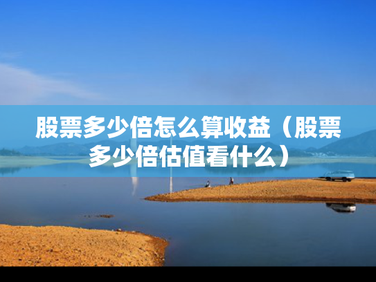 股票多少倍怎么算收益（股票多少倍估值看什么）