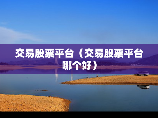 交易股票平台（交易股票平台哪个好）