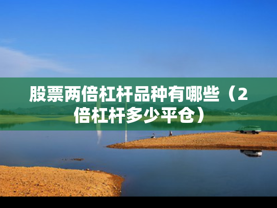股票两倍杠杆品种有哪些（2倍杠杆多少平仓）