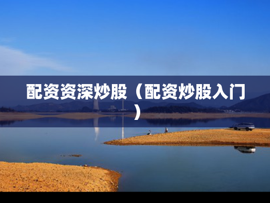 配资资深炒股（配资炒股入门）