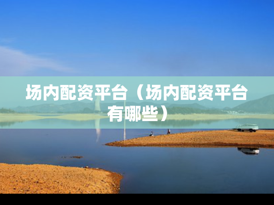 场内配资平台（场内配资平台有哪些）