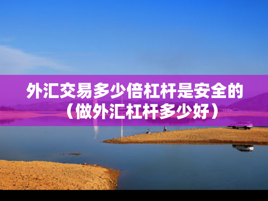 外汇交易多少倍杠杆是安全的（做外汇杠杆多少好）