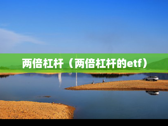 两倍杠杆（两倍杠杆的etf）