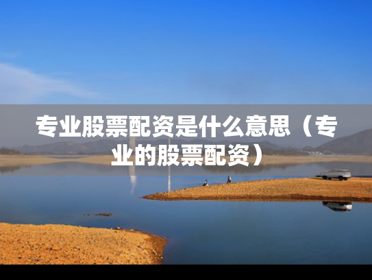 专业股票配资是什么意思（专业的股票配资）
