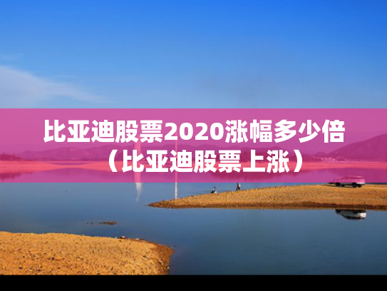 比亚迪股票2020涨幅多少倍（比亚迪股票上涨）