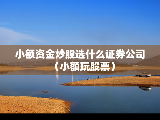 小额资金炒股选什么证券公司（小额玩股票）