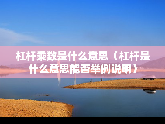 杠杆乘数是什么意思（杠杆是什么意思能否举例说明）