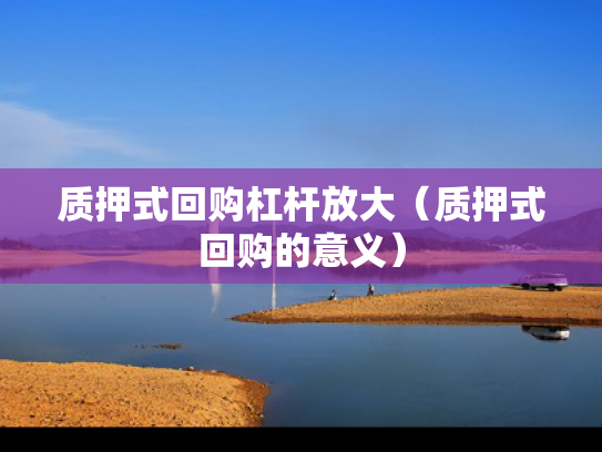 质押式回购杠杆放大（质押式回购的意义）