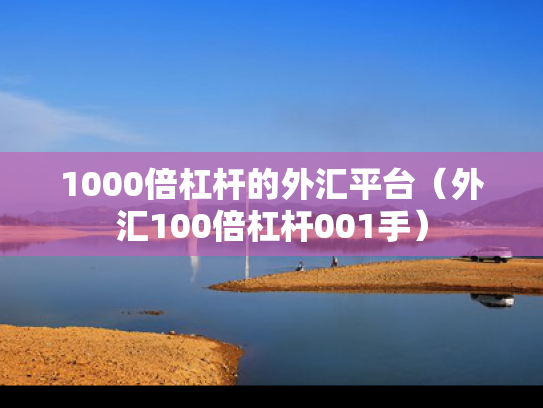 1000倍杠杆的外汇平台（外汇100倍杠杆001手）