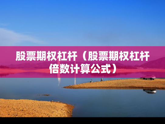 股票期权杠杆（股票期权杠杆倍数计算公式）