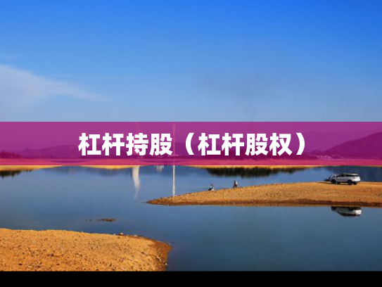 杠杆持股（杠杆股权）