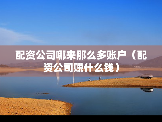 配资公司哪来那么多账户（配资公司赚什么钱）