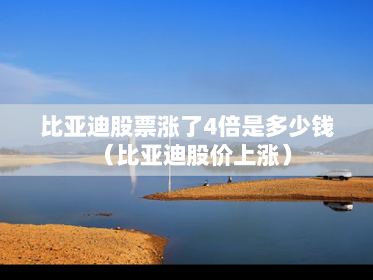 比亚迪股票涨了4倍是多少钱（比亚迪股价上涨）