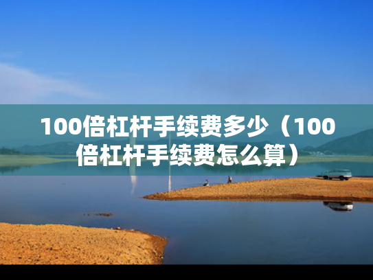 100倍杠杆手续费多少（100倍杠杆手续费怎么算）