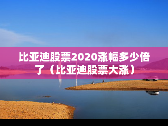 比亚迪股票2020涨幅多少倍了（比亚迪股票大涨）