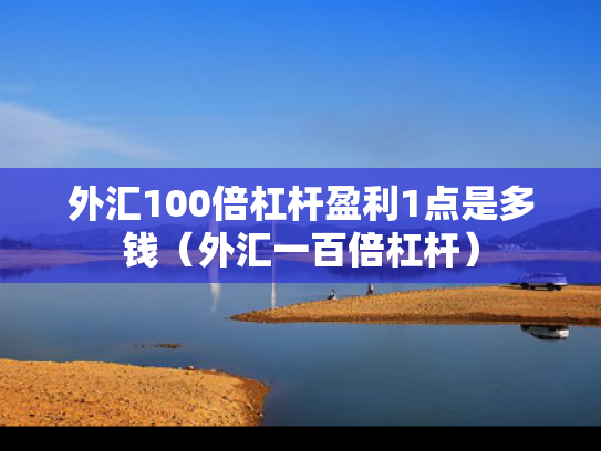 外汇100倍杠杆盈利1点是多钱（外汇一百倍杠杆）