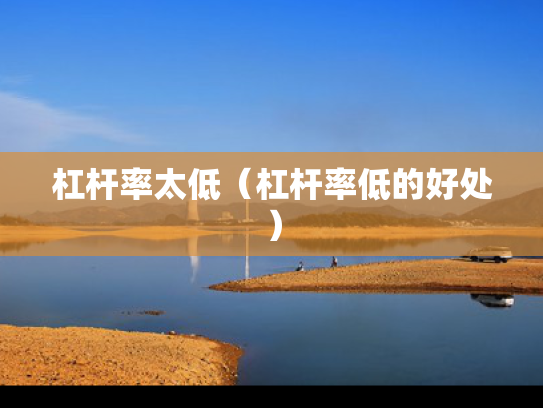 杠杆率太低（杠杆率低的好处）