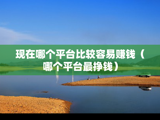 现在哪个平台比较容易赚钱（哪个平台最挣钱）