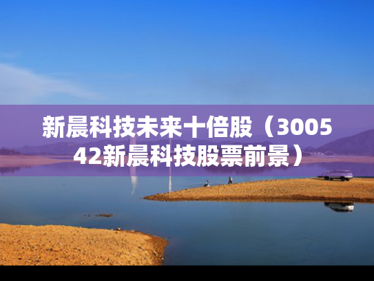 新晨科技未来十倍股（300542新晨科技股票前景）