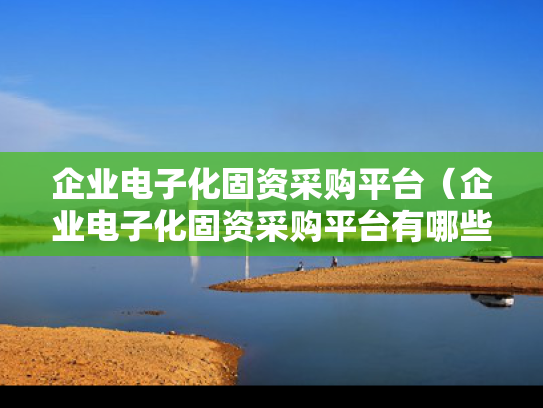 企业电子化固资采购平台（企业电子化固资采购平台有哪些）