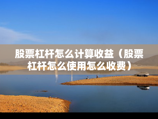 股票杠杆怎么计算收益（股票杠杆怎么使用怎么收费）