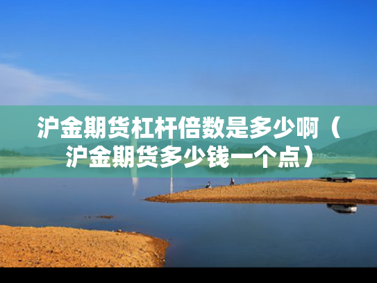 沪金期货杠杆倍数是多少啊（沪金期货多少钱一个点）