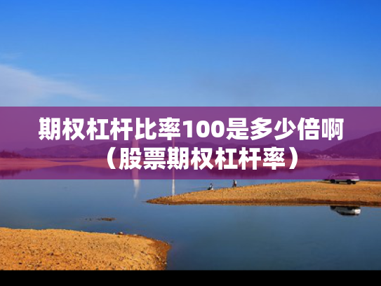 期权杠杆比率100是多少倍啊（股票期权杠杆率）