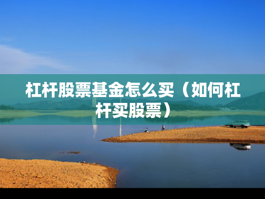 杠杆股票基金怎么买（如何杠杆买股票）