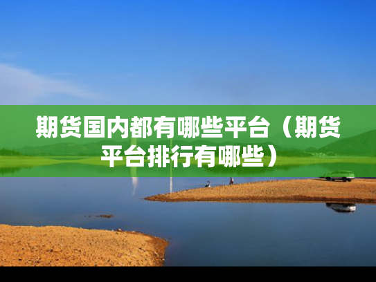 期货国内都有哪些平台（期货平台排行有哪些）