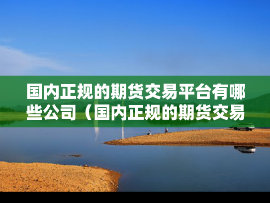 国内正规的期货交易平台有哪些公司（国内正规的期货交易所）