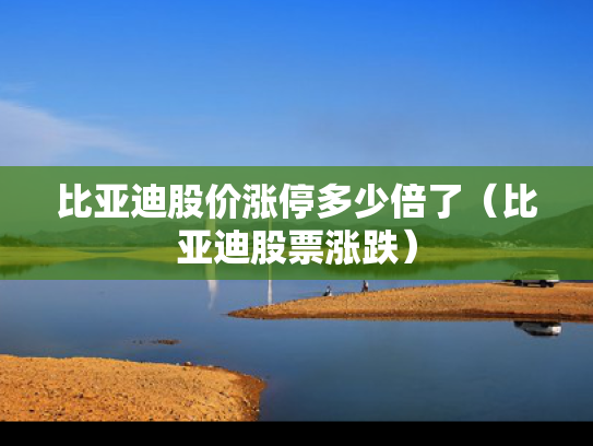 比亚迪股价涨停多少倍了（比亚迪股票涨跌）