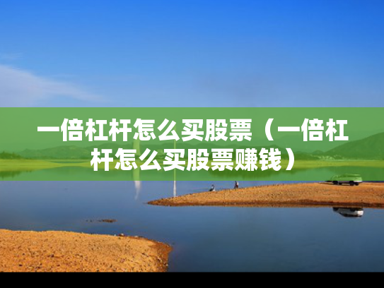 一倍杠杆怎么买股票（一倍杠杆怎么买股票赚钱）