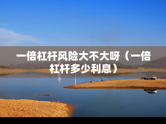 一倍杠杆风险大不大呀（一倍杠杆多少利息）