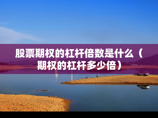 股票期权的杠杆倍数是什么（期权的杠杆多少倍）