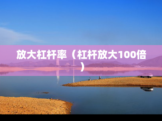 放大杠杆率（杠杆放大100倍）